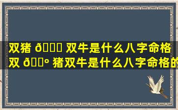 双猪 🍀 双牛是什么八字命格（双 🌺 猪双牛是什么八字命格的人）